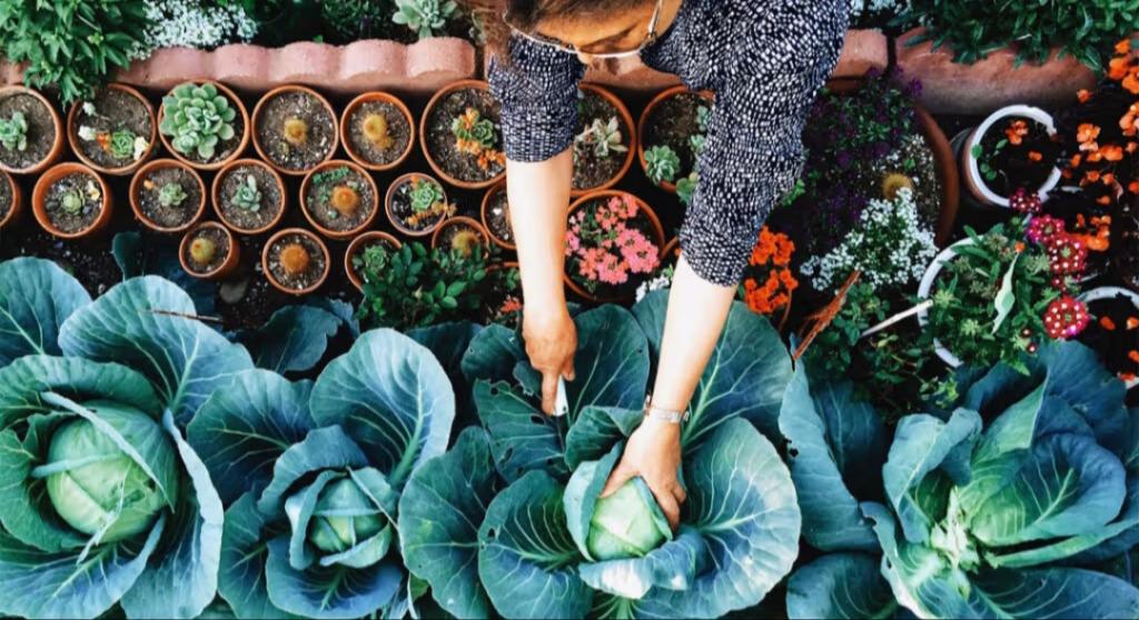 2025 AHA Hypertension Guidelines: What You Must Know